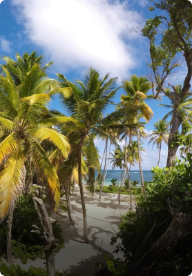 Woningruil in Martinique